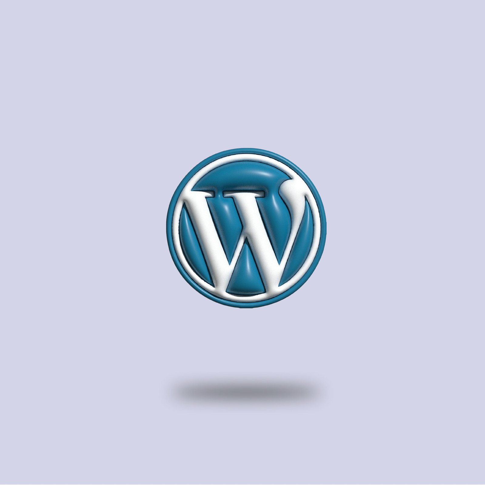 WordPress development workflow