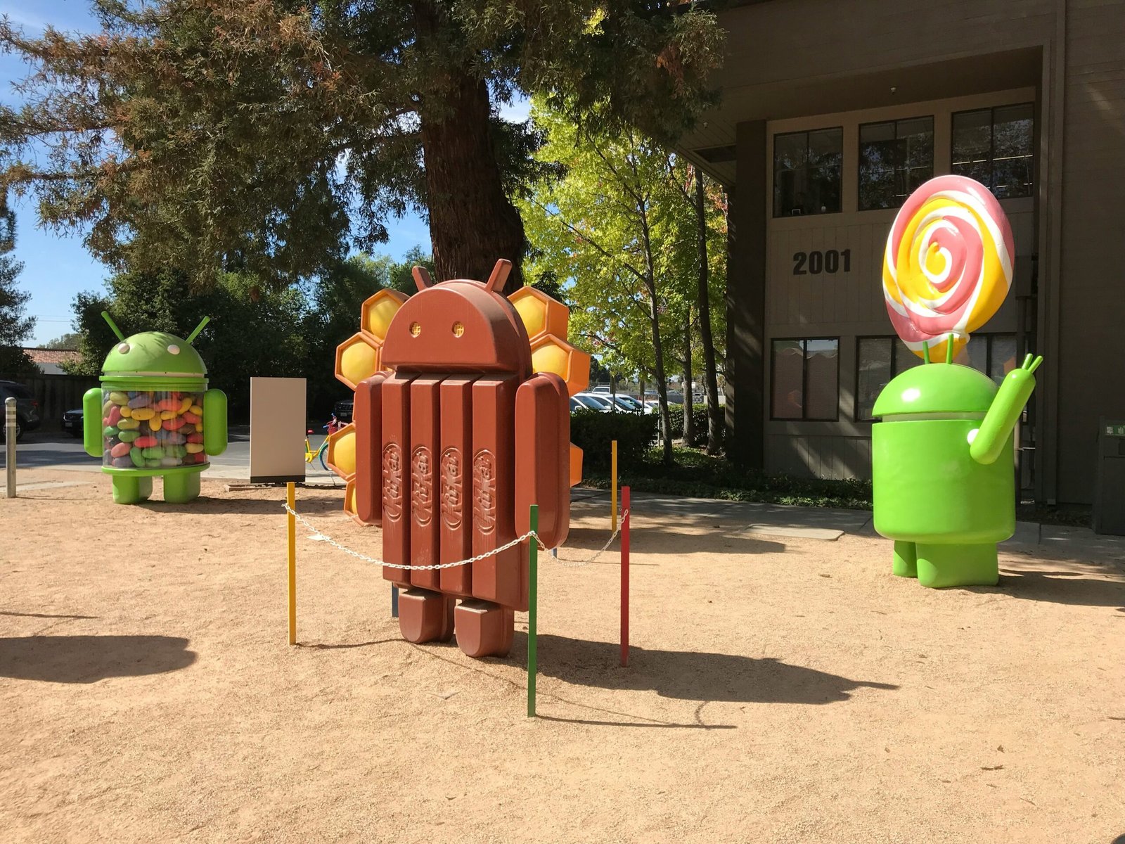 Android phone with modern app interface and Material Design